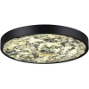 Настенно-потолочный светильник Odeon Light Bergi 5064/40L