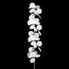Торшер Matisse 10008F white Loft It