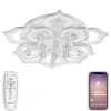 Потолочная люстра Natali Kovaltseva HIGH-TECH LED LAMPS HIGH-TECH LED LAMPS 82029