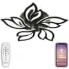 Потолочная люстра Natali Kovaltseva High-tech Led Lamps HIGH-TECH LED LAMPS 82006 BLACK