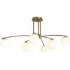 Потолочная люстра Freya Hanger FR5443CL-06BS