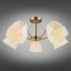 Люстра потолочная Omnilux 650 OML-65007-05