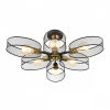 Потолочная люстра Lumion Vivana 8153/6C