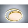 Потолочный светильник LED LAMPS LED LAMPS 81304 Natali Kovaltseva