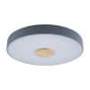 Потолочный светильник Axel 10003/24 Grey Loft It