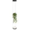 Подвесной светильник Loft It Jardin 10121/1P Dark grey
