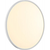Настенно-потолочный светильник Sonex Alfa White 7659/48L