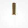 Подвесной светильник Maytoni Golden Cage MOD216PL-L10G3K