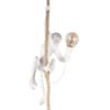Подвесной светильник Loft It Monkey 10314P