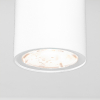 Потолочный светильник уличный Elektrostandard Light LED 35129/H белый