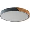 Потолочный светильник Zortes Alberro ZRS.01280.90