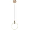 Подвесной светильник Zortes Ringer ZRS.57792.17