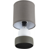 Интерьерная настольная лампа Lumion Lalana 8182/1T