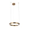Подвесной светильник Ring 10013M Loft It