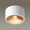 Накладной светильник ODEON LIGHT GLASGOW 3892/1C