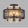 Потолочная люстра Lumion Zarina 8007/3C