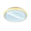 Потолочный светильник ACRYLICA FA602 Ambrella