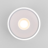 Потолочный светильник уличный Elektrostandard Light LED 35141/H белый