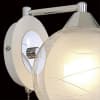 Бра Буги CL157311 Citilux