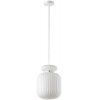 Подвесной светильник Odeon Light Jugi 5042/1C