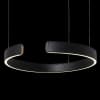 Подвесной светильник Ring 10025/400 Black Loft It