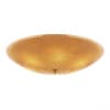 Потолочный светильник Lightstar Zucche 820863