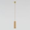 Подвесной светильник Elektrostandard Lead 50244 LED
