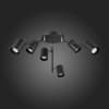 Потолочная люстра Fanale SL597.402.06 ST Luce