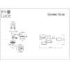 Потолочная люстра Evoluce Faema SLE6006-702-04