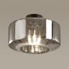 Потолочный светильник ODEON LIGHT BINGA 4746/1C