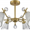 Потолочная люстра Lumion Aurica 8046/6C