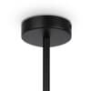 Потолочная люстра Maytoni Memory MOD177PL-04B