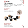 Светильник потолочный под лампу IN HOME AURA TESO-BL-6E27 720x430x150 черный, золото 4690612058108