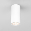 Потолочный светильник уличный Elektrostandard Light LED 35129/H белый