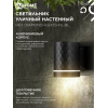 Светильник уличный настенный односторонний IN HOME НБУ DIAMOND-1хGX53-NL-BL с подсветкой черный IP54 4690612052861