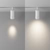 Трековый светильник Maytoni Focus Zoom TR212-1-12WTW-DS-Z-W