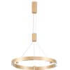 Подвесной светильник Ambrella COMFORT FL5846