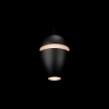 Подвесной светильник Loft It Viterbo 10336 Black