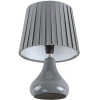 Интерьерная настольная лампа Lumion Naina 8184/1T
