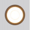 Потолочный светильник уличный Elektrostandard Light LED 35132/H черный
