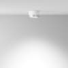 Накладной потолочный светильник Hoop GX53 1x15Вт Maytoni Technical C086CL-GX53-SRD-WS