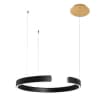 Подвесной светильник Ring 10025/600 Black Loft It