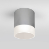 Потолочный светильник уличный Elektrostandard Light LED 35140/H серый