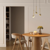 Подвесной светильник Elektrostandard Join 50313 LED