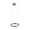 Подвесной светильник Ring 10013S Loft It