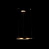 Подвесной светильник Ring 10013M Loft It