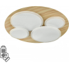 Потолочный светильник Sonex Pine 7734/60L