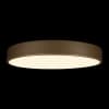 Потолочный светильник Loft It Flims 10228/A