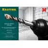 Бур по бетону KRAFTOOL 10 x 110 мм, SDS-Plus 29320-110-10_z01