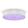 Потолочный светильник Freya Cells FR10011CL-L24W